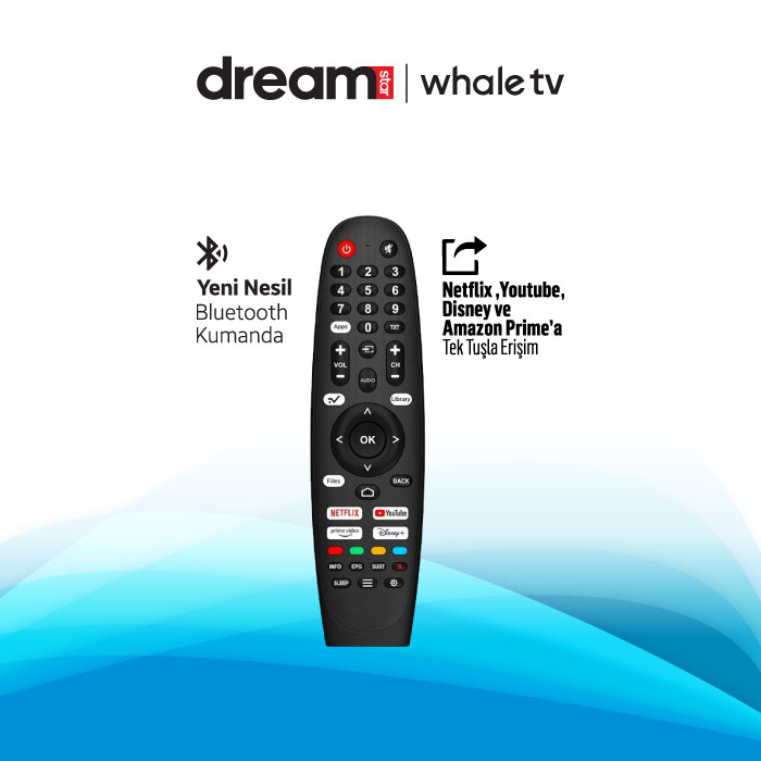 Dreamstar-whale-tv-24-inch-4